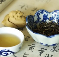 儿茶的的药用价值有哪些？